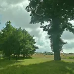 Alte Stellmacherei - 2 *