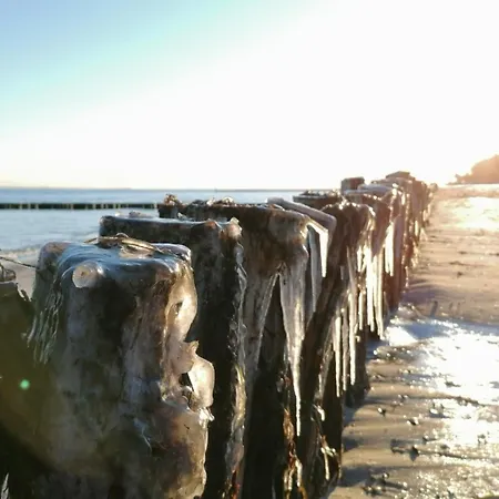 Alte Stellmacherei - 2 Apartament Riepsdorf