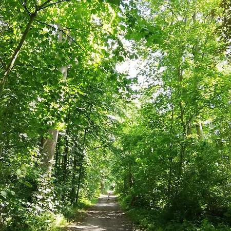 Apartament Alte Stellmacherei - 2