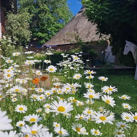 Familienzeit - Freie Zeiten Im Sommer Daire *